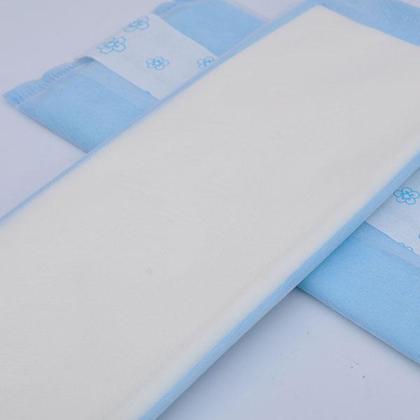 Maternity & Recovery Liners